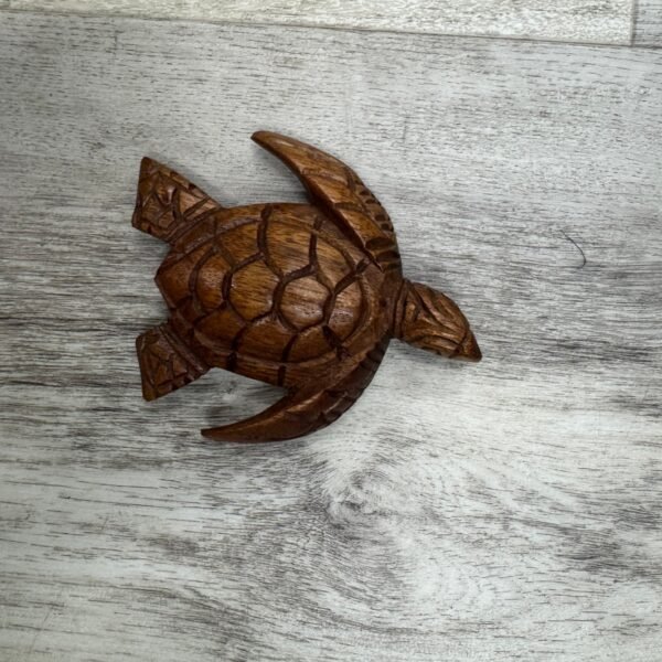 Turtle Carving