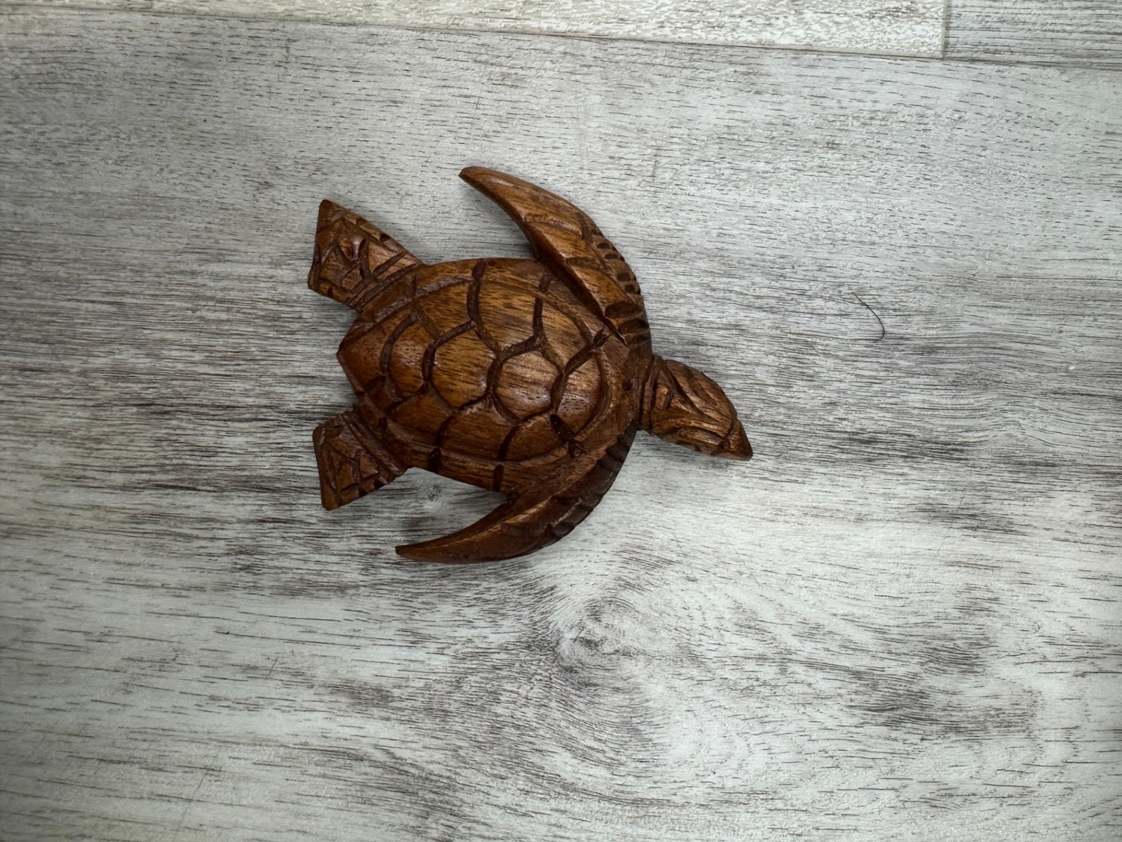Turtle Carving