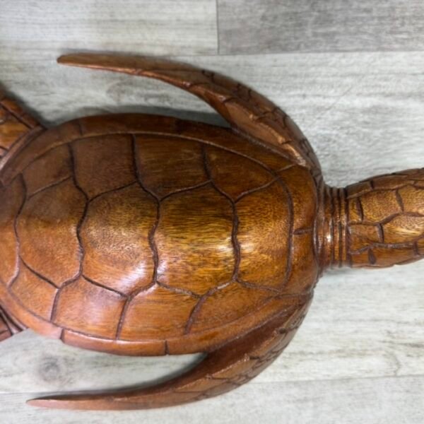 Sea Turtle Carving